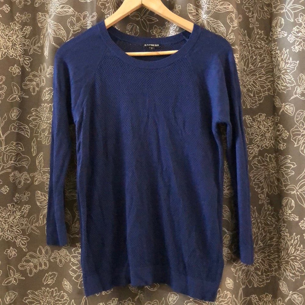 Express light weight sweater